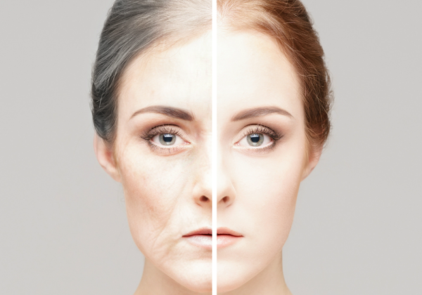 תנו "להזדקן" בשקט. FaceApp. צילום: מתוך ויקיפדיה