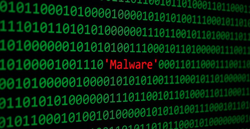 תוכנת זודנה. אילוסטרציה: BigStock