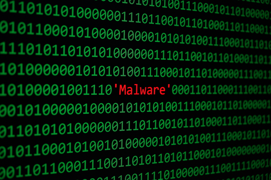 תוכנת זודנה. אילוסטרציה: BigStock