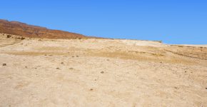 בנגב, ימין ושמאל רק חול וחול? לא בכל מקום. צילום: Gkuna, BigStock
