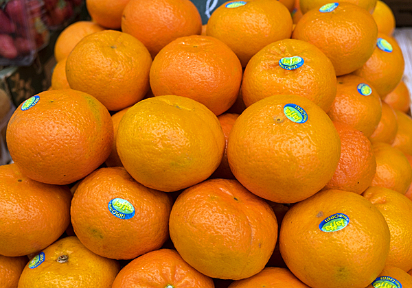 אומת החדשנות החליפה את אומת תפוזי ה-Jaffa. צילום: BigStock