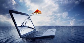 צילום אילוסטרציה: BigStock