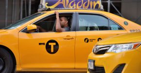 נהג מונית בניו-יורק. צילום: BigStock