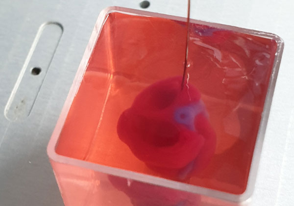 הלב שהודפס, בקנה מידה קטן. צילום: דוברות אוניברסיטת תל אביב