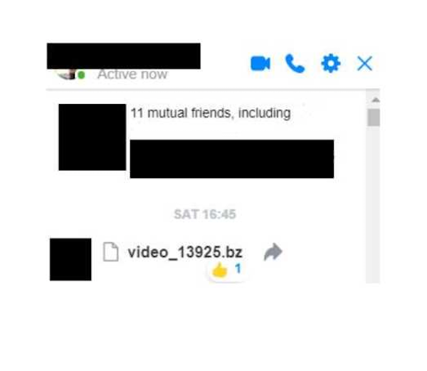 הוירוס בפייסבוק. צילום מסך