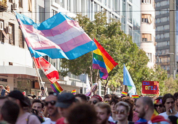 גאווה היי-טקית. בתמונה: הדגל של קהילה זו, לצד דגל הגאווה. צילום: BigStock