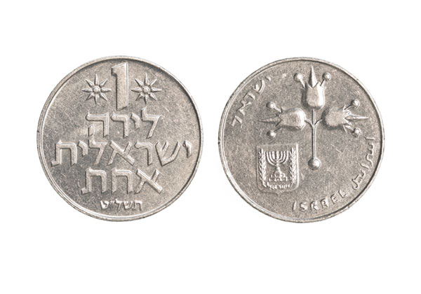 שפת פיתוח שקרויה על שם המטבע הישראלי הישן. צילום: BigStock