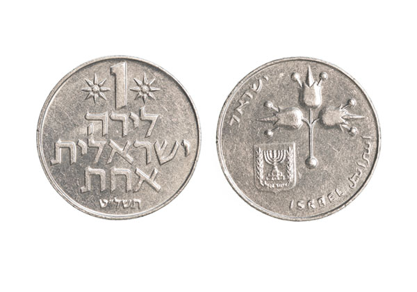 שפת פיתוח שקרויה על שם המטבע הישראלי הישן. צילום: BigStock