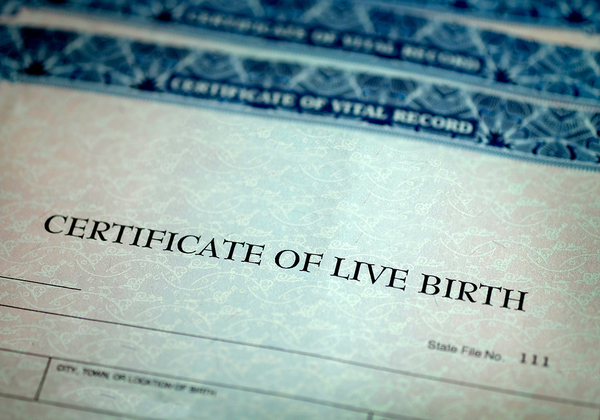 תעודת לידה אמריקנית. צילום אילוסטרציה: BigStock
