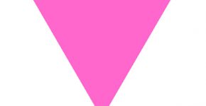 הטלאי הוורוד שאסירים מהקהילה הגאה נאלצו לענוד במחנות של הנאצים