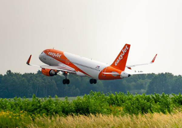 האם תשרוד את התביעה? איזיג'ט. צילום אילוסטרציה: BigStock