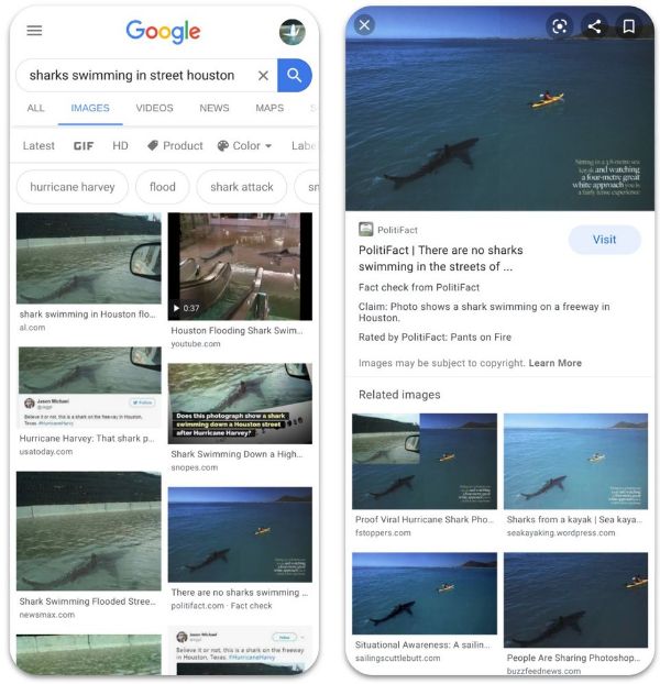 כרישים לא שחו ביוסטון. הדגמת בדיקת העובדות בתמונות. צילום: גוגל