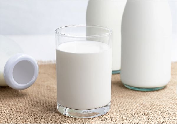 חלב בלי לנצל בעלי חיים. ReMilk. צילום אילוסטרציה: BigStock