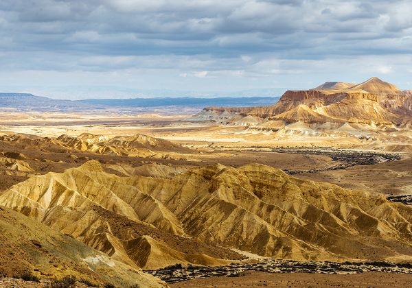 עדיין מחכה לצה"ל. הנגב. צילום: BigStock