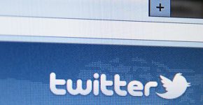 מתכוננת לבחירות בארה"ב. טוויטר. צילום: BigStock