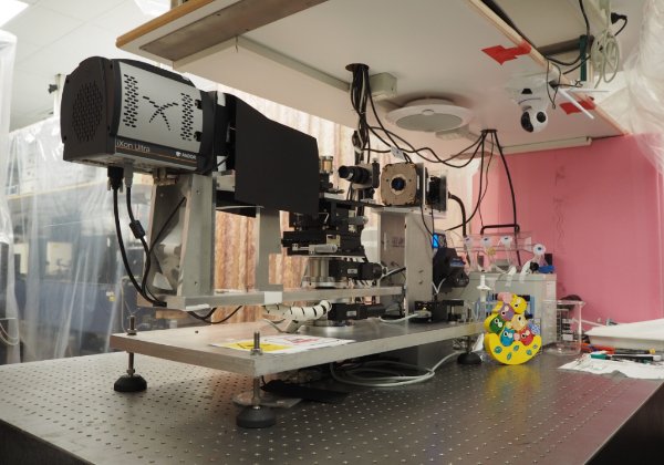 מערכת LightCode הזוכה. צילום: יח"צ