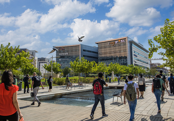 פארק גב-ים נגב. צילום: ליאת-מיה לברוזו