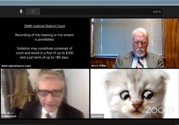 עורך הדין שהפך לחתול בזום. צילום מסך