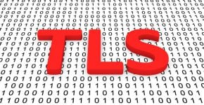 פרוטוקול פופולרי בקרב האקרים. TLS. מקור: BigStock