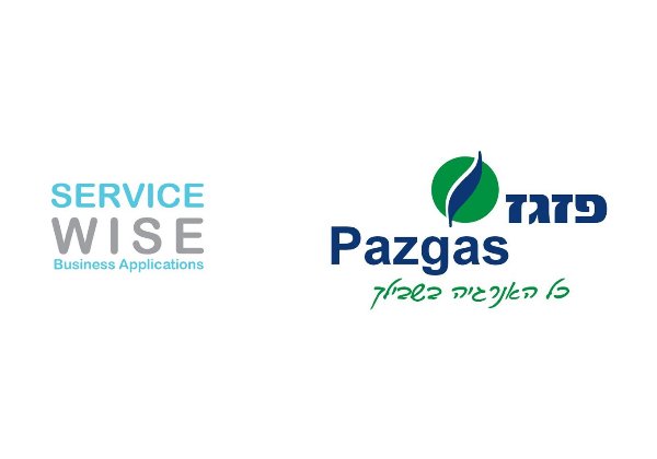 הטמעת מערכת Salesforce. סרוויס ווייז ב-פזגז