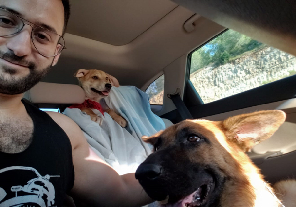 גיא גינתון והכלבים שלו. צילום: יח"צ