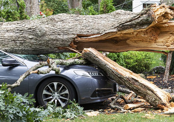 התנגשו בעץ אחרי ש"טסו" ותיעדו את הנסיעה. צילום אילוסטרציה: BigStock