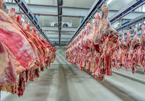 שילמה את הכופר. ענקית הבשר JBS. צילום אילוסטרציה: BigStock