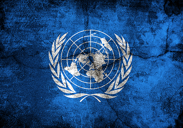 כנס ישראלי באו"ם. דגל הארגון. מקור: BigStock