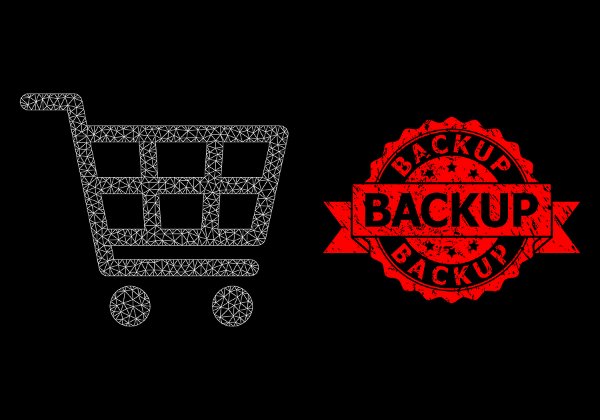 חווה שינוי משמעותי בגלל הכופרות. שוק תוכנות הגיבוי. אילוסטרציה: BigStock