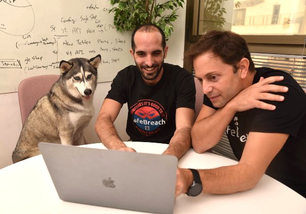 דון הכלבה מתעניינת בעבודה בחברת סייפבריצ'. צילום: מאיר כהן