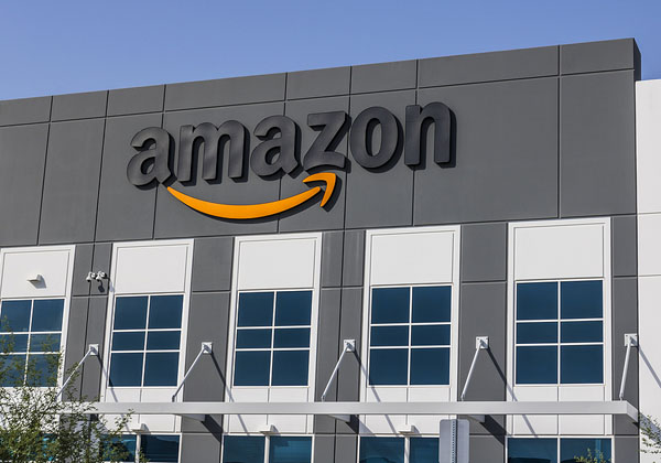 אמזון. צילום: BigSock