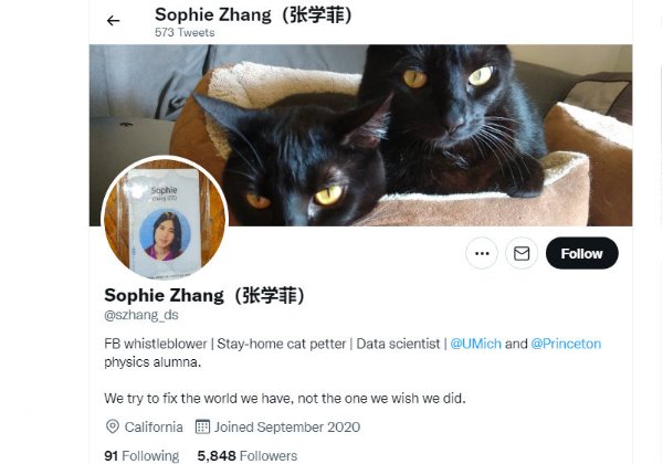 מנסה לתקן את העולם. סופי ז'אנג, לשעבר עובדת פייסבוק. צילום מסך מדף הטוויטר