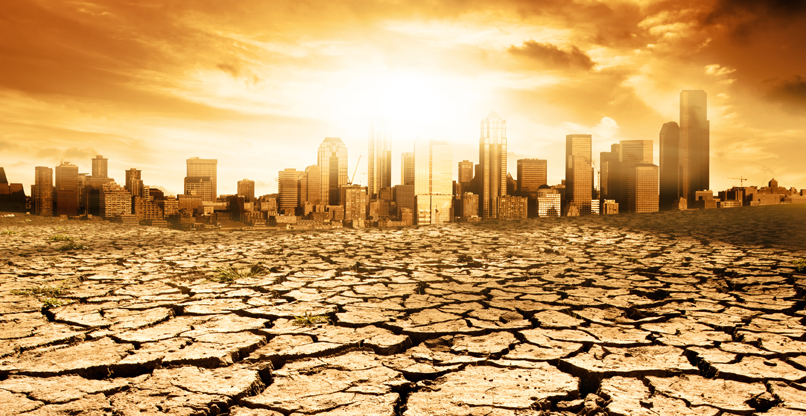 כדי שיהיה פחות מדבר, הטכנולוגיה הירוקה צריכה "לפרוח".