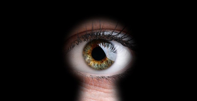 הורחקה זמנית. הסטוקרית של טים קוק. אילוסטרציה.