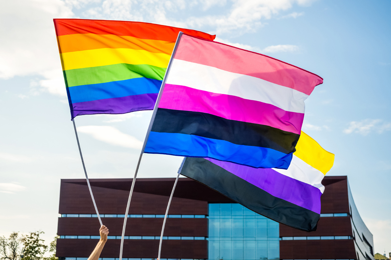 דגל הגאווה ודגלים שמסמלים תתי קהילות שונות בקהילת הלהט"ב.