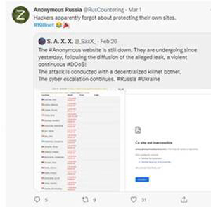 "תוצאות" ה-"פריצה" הרוסית ל-"אתר" של אנונימוס.