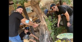 צוות סיילספורס בפעילות התנדבות לנטיעת עצים