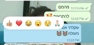 התגובות המהירות בווטסאפ.