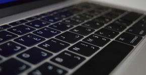 הערבים הם כ-20% מאזרחי המדינה, ורק כ-10% מהאתרים הממשלתיים מונגשים בשפתם.