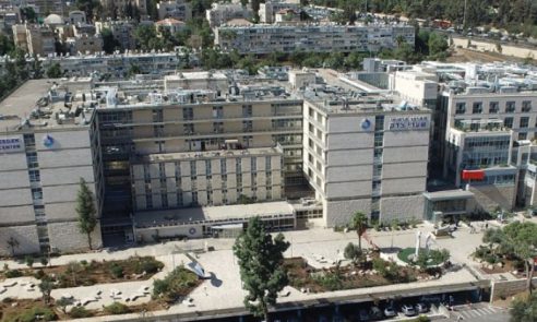 פרויקט חדש ומעניין עם וונדרפול. המרכז הרפואי שערי צדק.