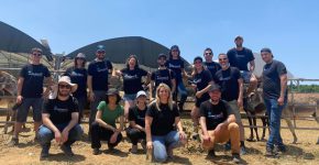 עובדי סיילספורס ישראל בפעילות התנדבותית.