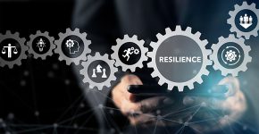 דרוש חוסן ארגוני, כדי שגלגלי המערכת של מדינת ישראל יעבדו נכון.