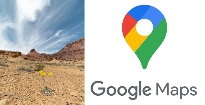 תקע מכוניות רבות במדבר. שירות גוגל מפות.