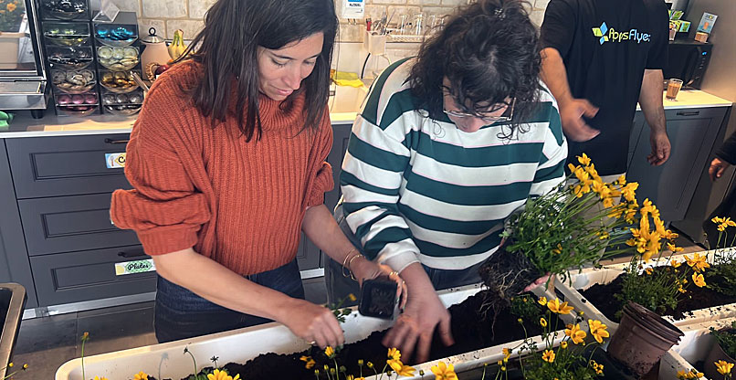 עובדות באפספלייר שותלות פרחים צהובים, כצבע ההזדהות עם החטופים.