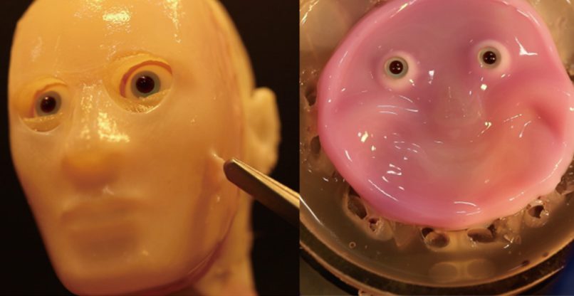 התוצר בדמות רובוט יותר אנושי שהציגו החוקרים מאוניברסיטת טוקיו.