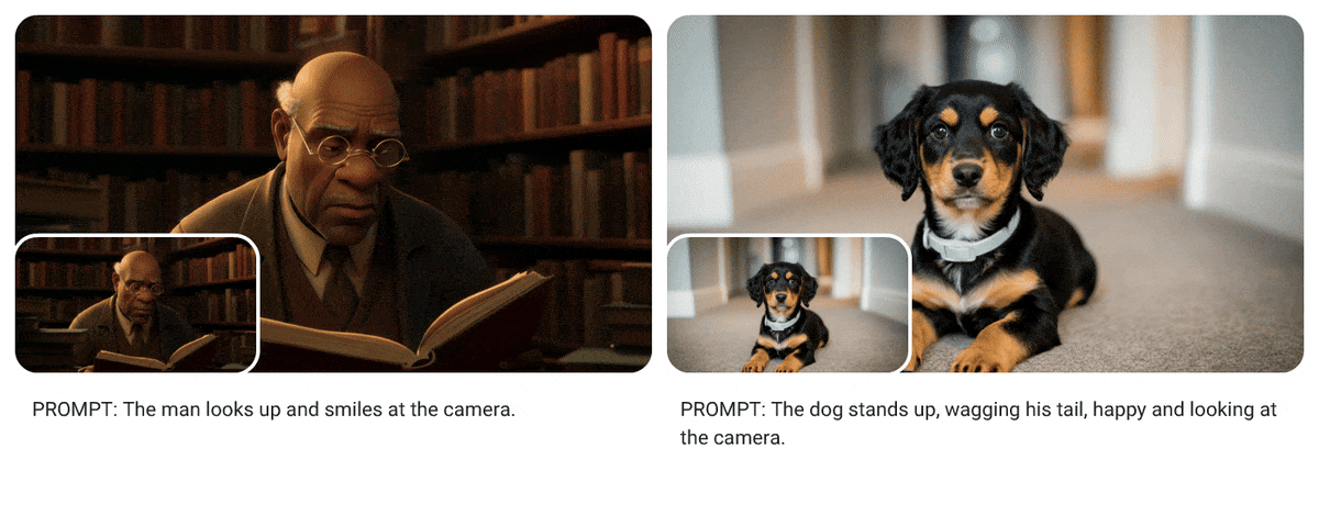 מתמונה והנחיות - לווידיאו. דוגמה של Veo.