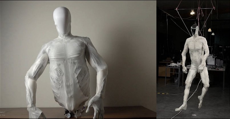 מדמים תנועת אנושית. שני דגמים של הרובוט ההומואידי של קלון רובוטיקס.