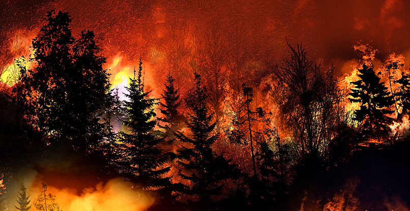 שריפה ביער בהרי ירושלים (ארכיון).