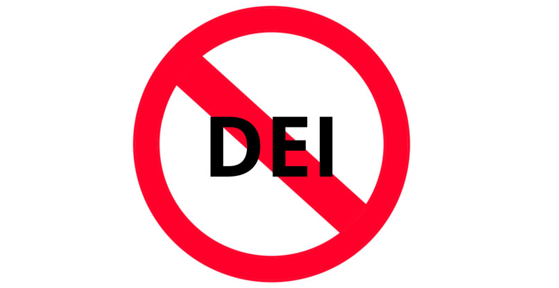 גיוון והכללה? פחות.