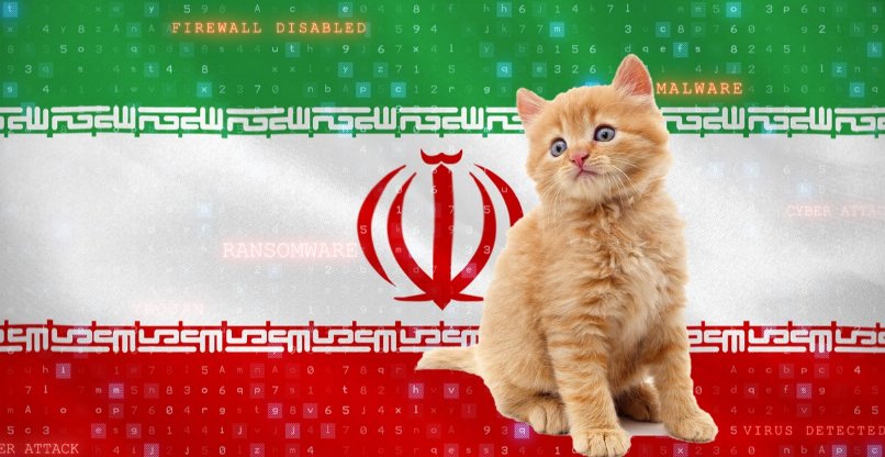 תקפה פרופסורים מישראל בסייבר. קבוצת ההאקרים "החתלתול המקסים".